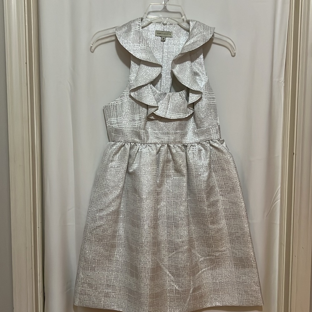 Annie Griffin size 2 dress